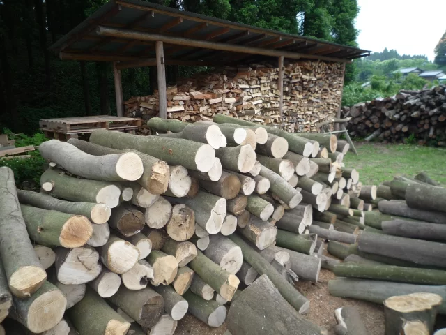 firewood2